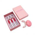 Private Label New Teeth Whitening LED Kit